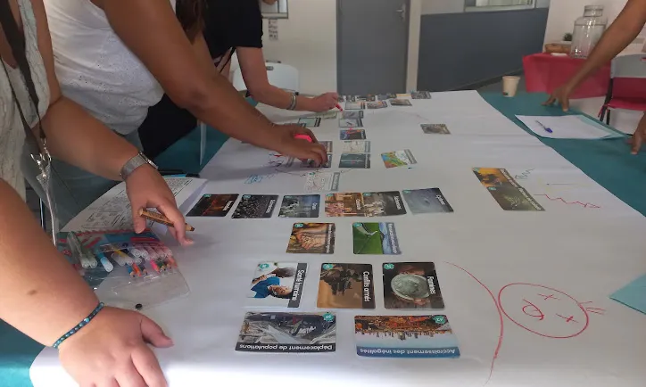 Participants en pleine fresque collaborative — cartes et intelligence collective