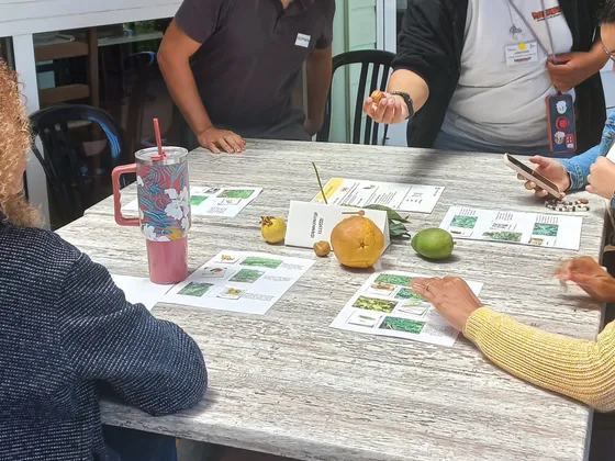 Atelier autour de l'assiette réunionnaise avec produits locaux sur la table