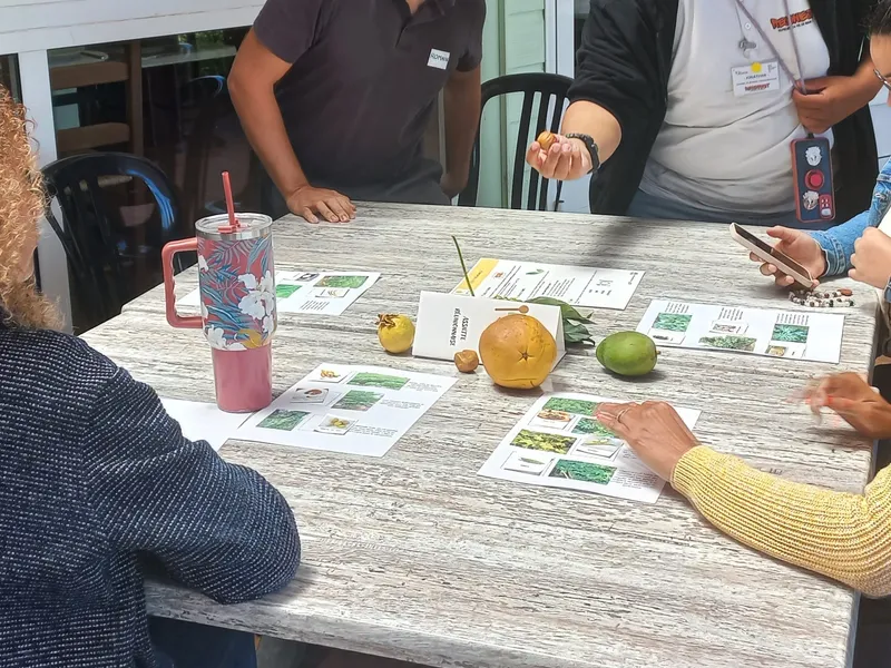 Atelier autour de l'assiette réunionnaise avec produits locaux sur la table
